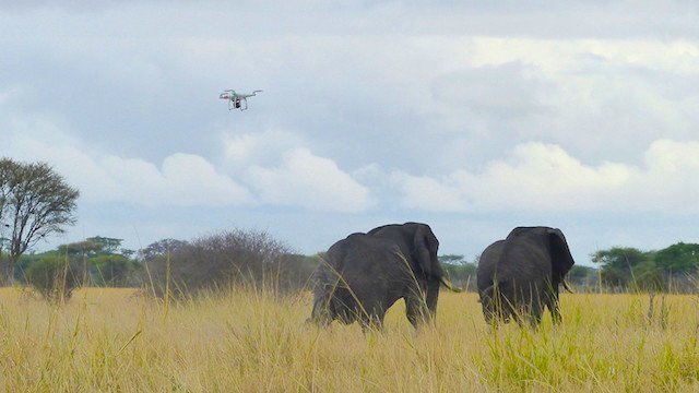 drones comerciales medio ambiente