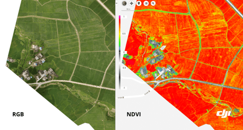 RGB y NVDI agricultura