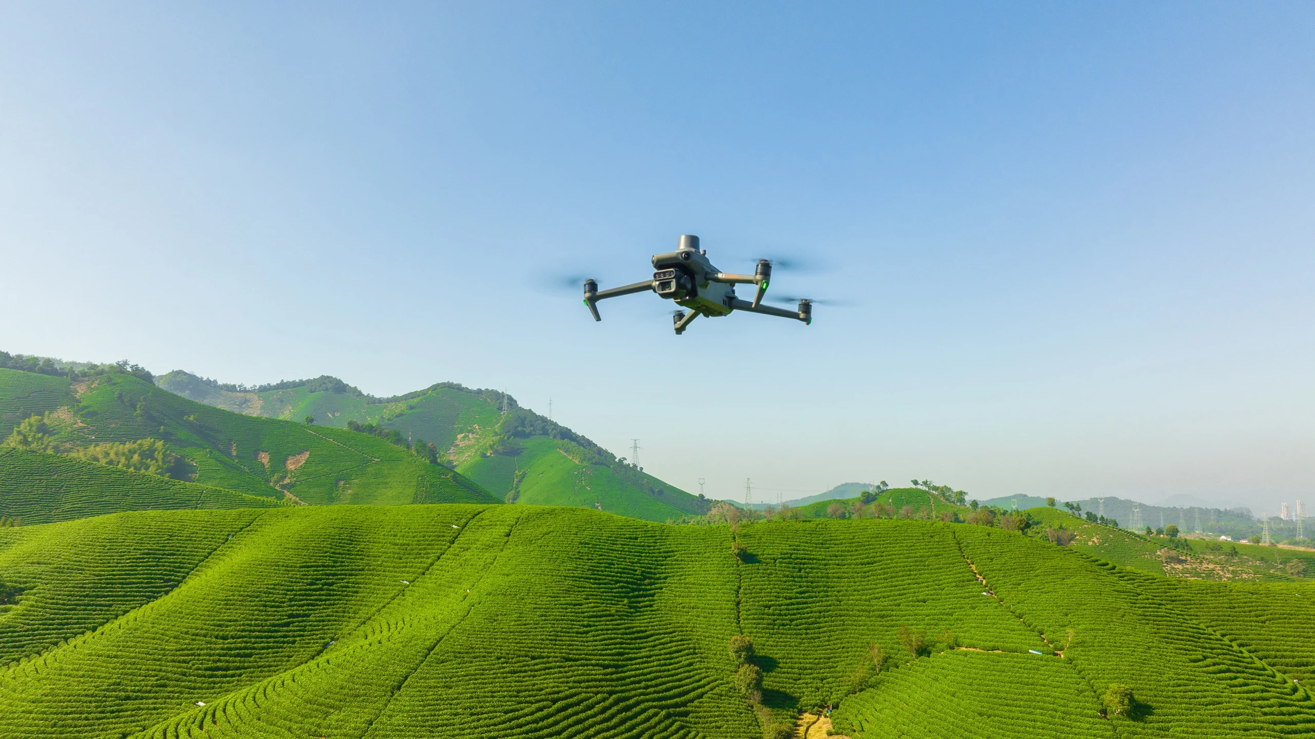 Mavic 3M sobrevolando campo de cultivo 
