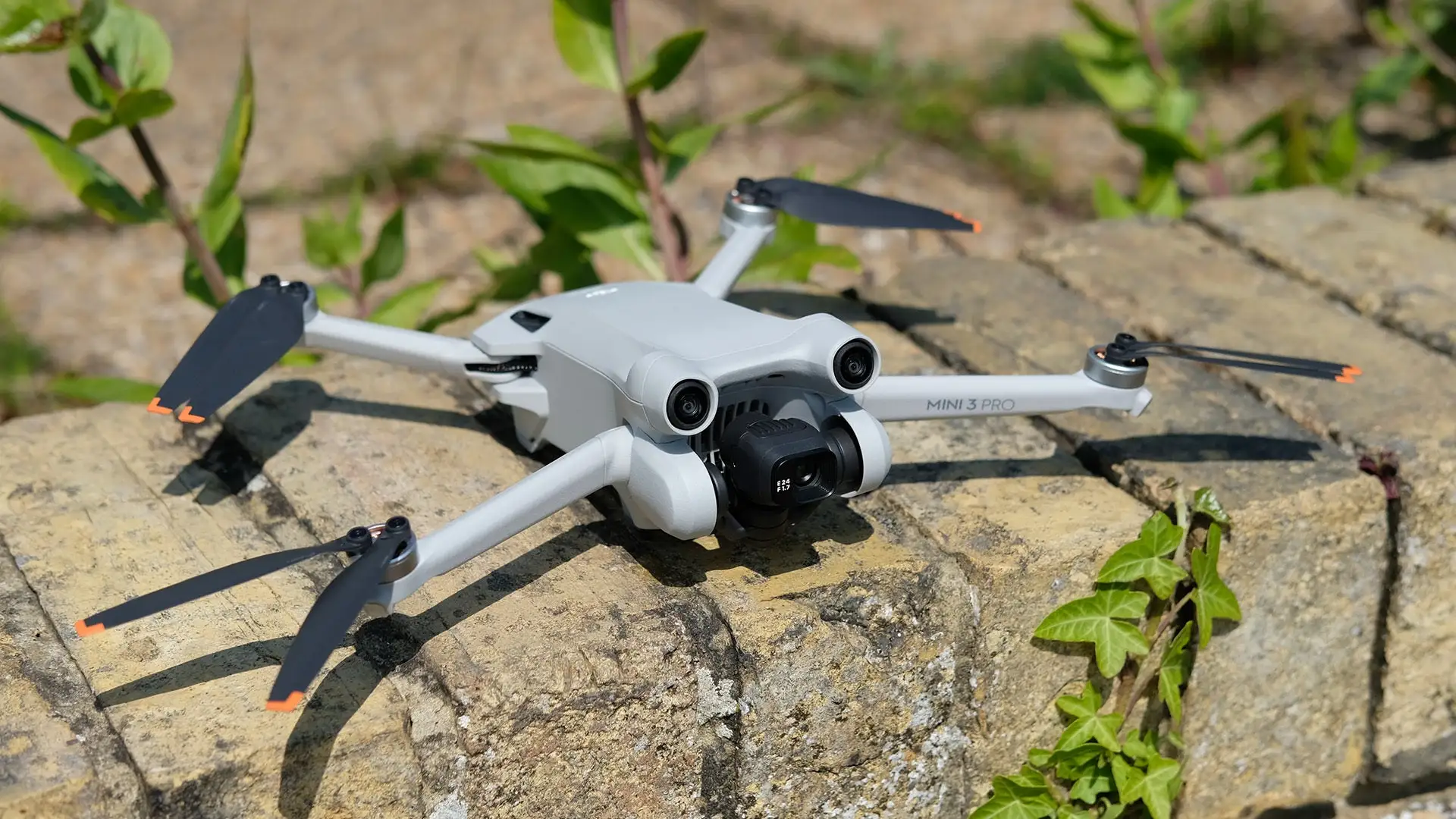 Mini 3 Pro sobrevolando campo 