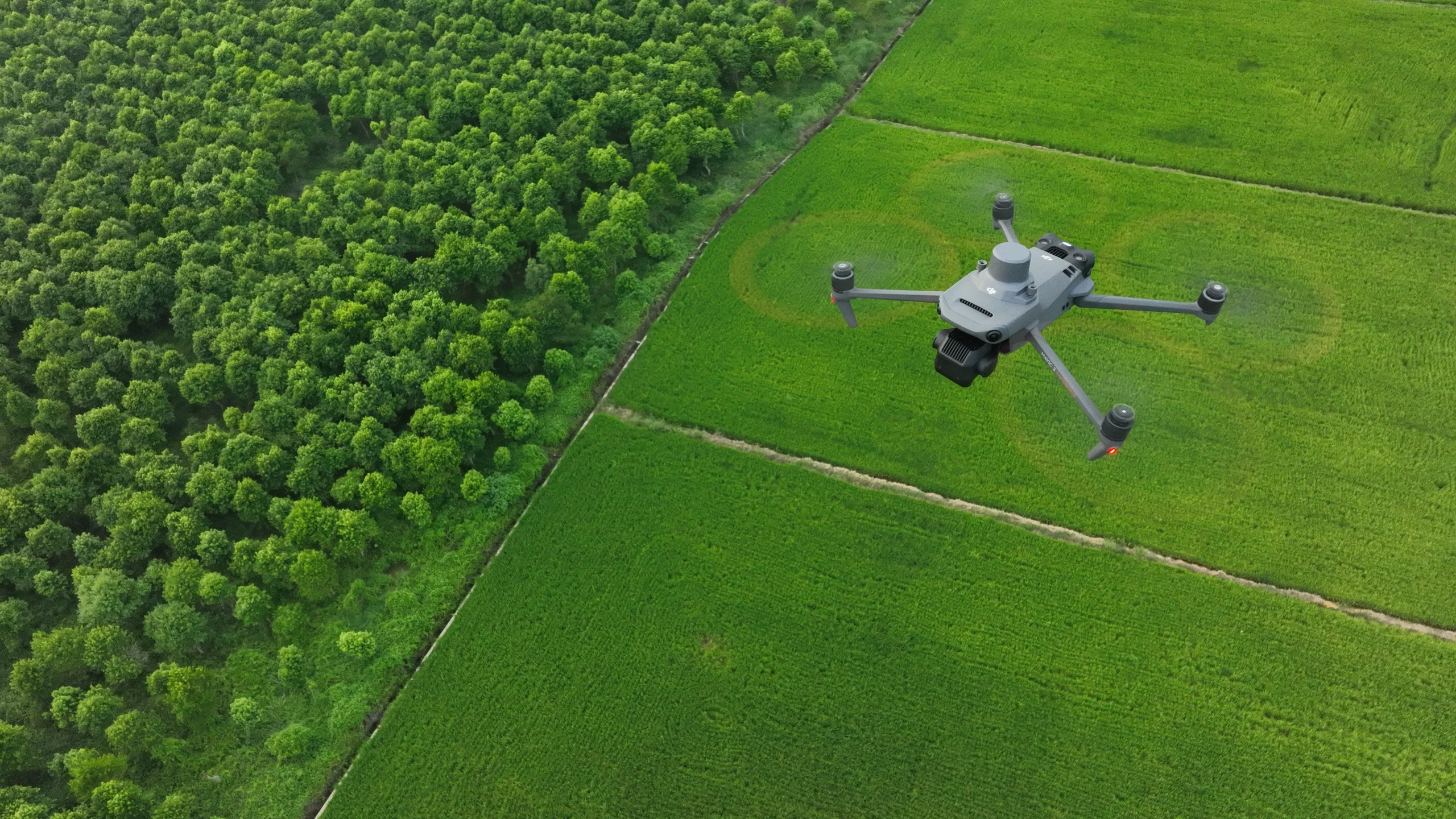 Mavic 3 Multiespectral en el campo 